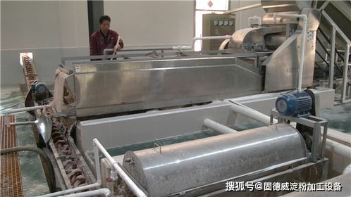 红薯淀粉加工中保障设备平稳运行的关键措施